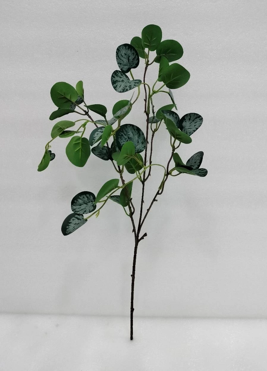 Satin Photos Money Plant Hanging Stick Med